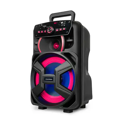 Ремонт портативных колонок